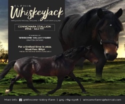 Elphin Whiskeyjack