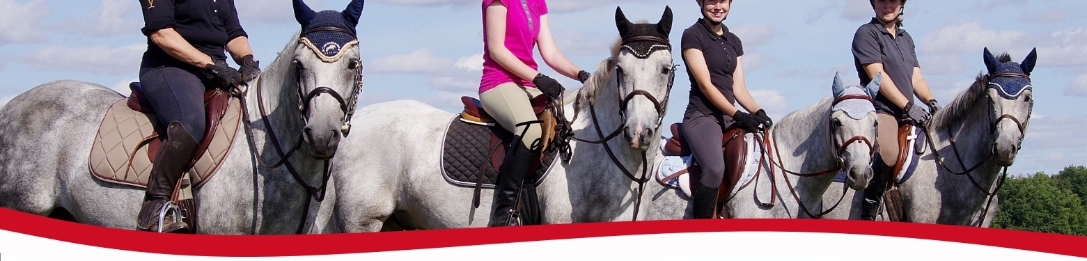 Canadian Connemara Pony Society